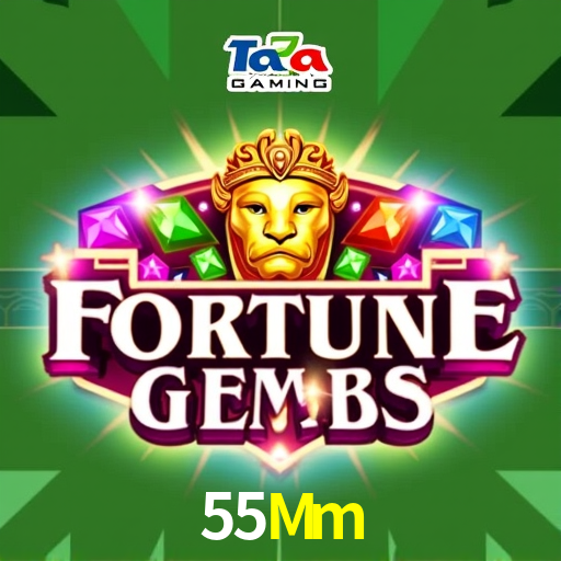 55Mm